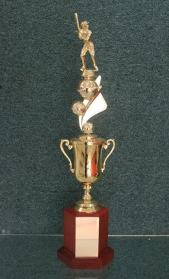 full_57356b022500546bb8a4762639d7877e